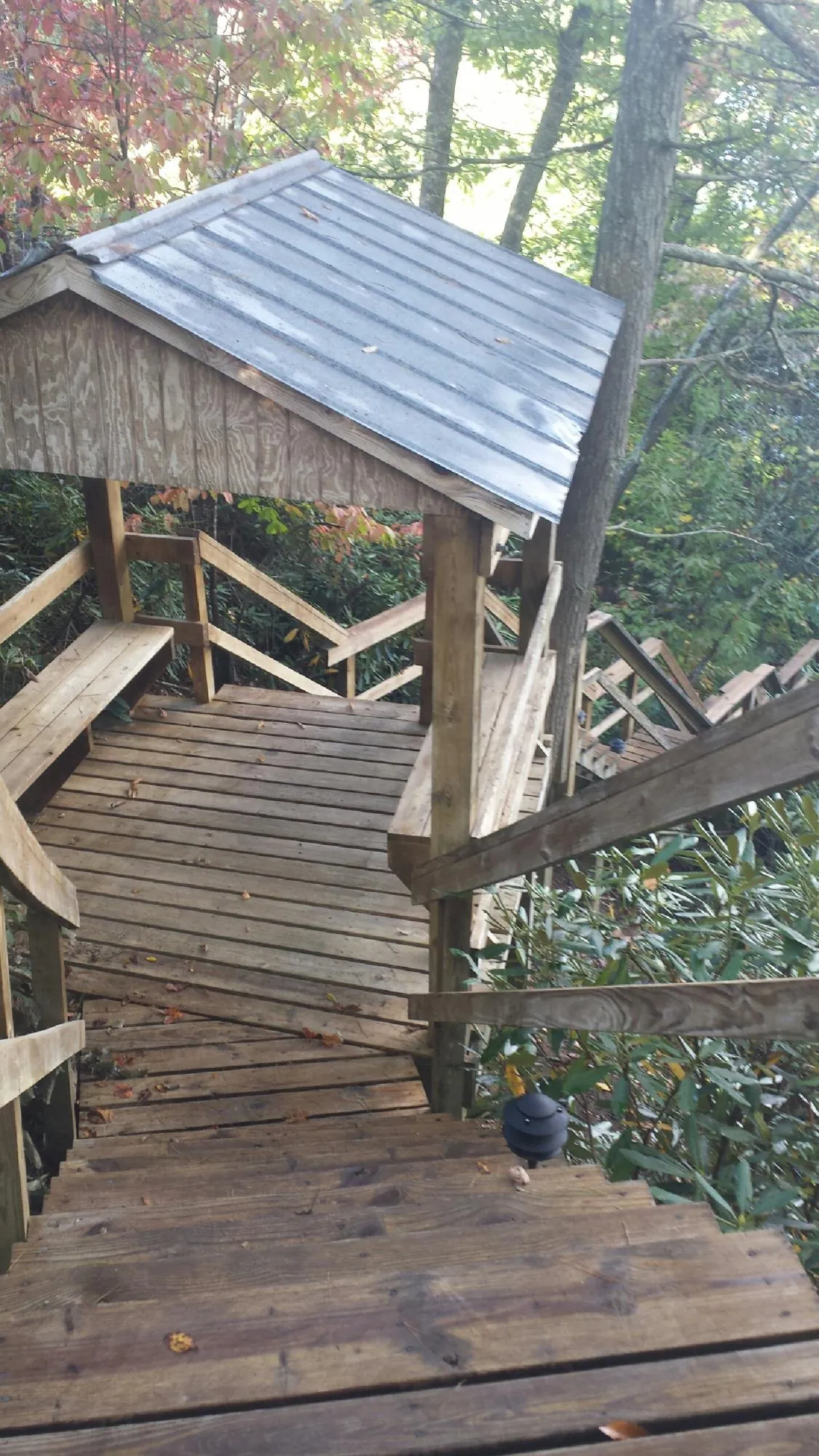 Metal roofed shelter over wooden steps on a wooded walkway in Goshen